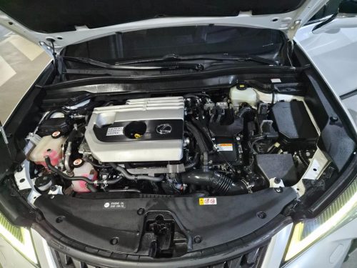 렉서스 UX 250h 2.0 2WD 사진 18