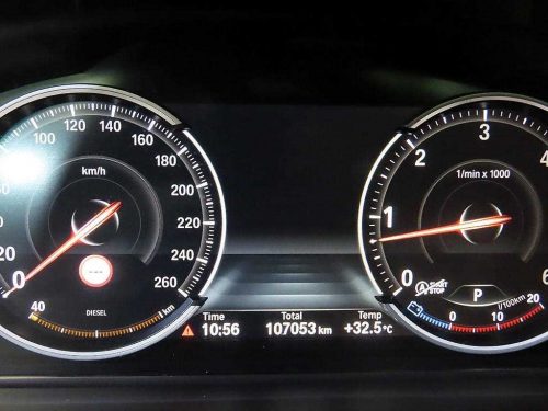 BMW X6 (F16) xDrive 30d 사진 9