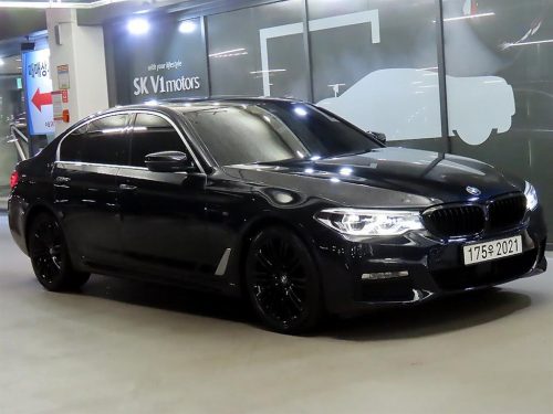 BMW 5시리즈 (G30) 520d xDrive M 스포츠 플러스