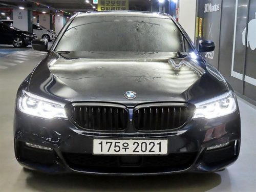 BMW 5시리즈 (G30) 520d xDrive M 스포츠 플러스 사진 2