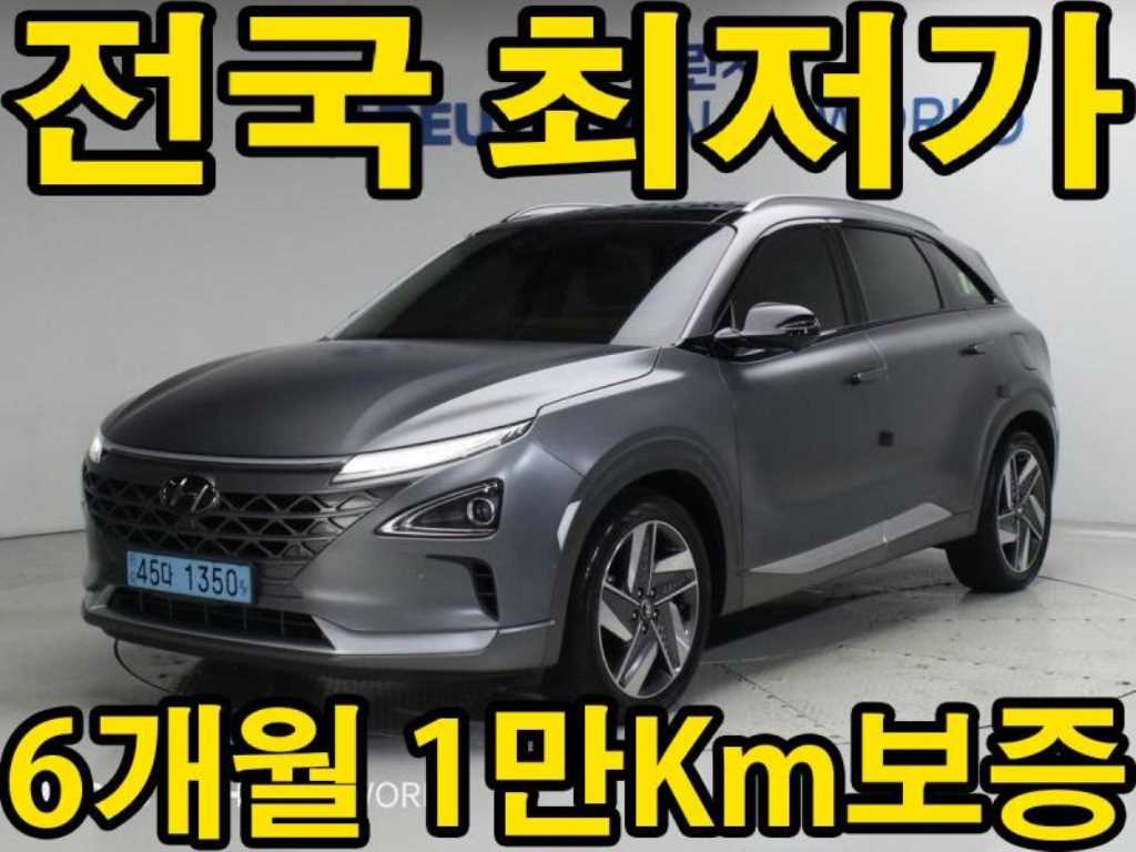 현대 넥쏘 프리미엄