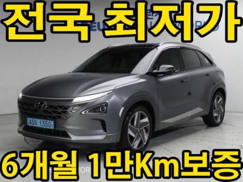현대 넥쏘 프리미엄