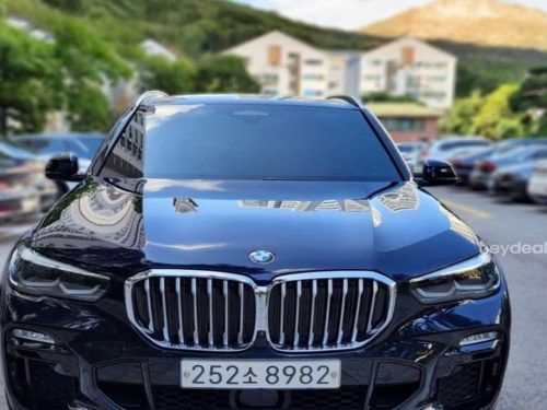 BMW X5 (G05) xDrive 30d M 스포츠