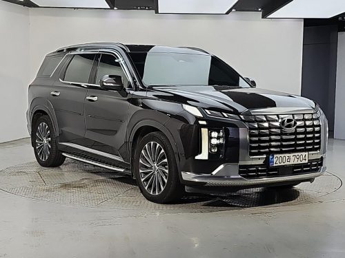 Hyundai The New Palisade Diesel 2.2 4WD Calligraphy photo 3