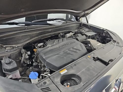 Hyundai The New Palisade Diesel 2.2 4WD Calligraphy photo 6