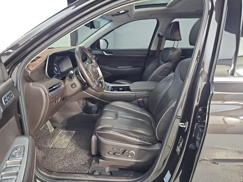 Hyundai The New Palisade Diesel 2.2 4WD Calligraphy photo 11