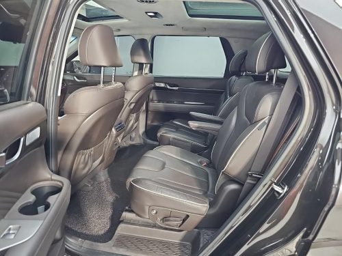 Hyundai The New Palisade Diesel 2.2 4WD Calligraphy photo 12