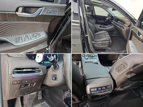 Hyundai The New Palisade Diesel 2.2 4WD Calligraphy photo 17