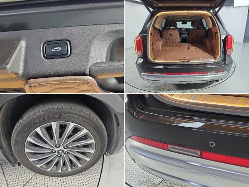 Hyundai The New Palisade Diesel 2.2 4WD Calligraphy photo 18