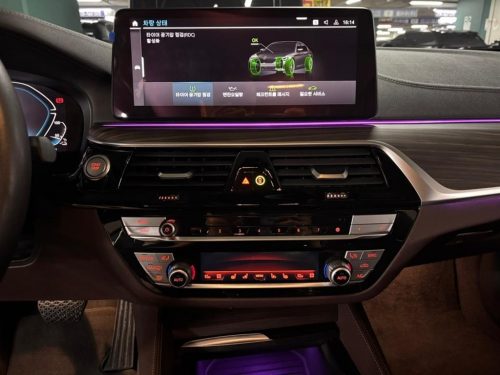 BMW 5시리즈 (G30) 530e M 스포츠 사진 12