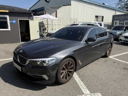BMW 5시리즈 (G30) 520i 럭셔리 사진 2