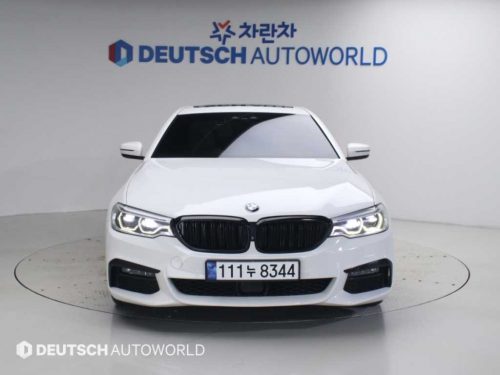 BMW 5시리즈 (G30) 530i xDrive M 스포츠 플러스