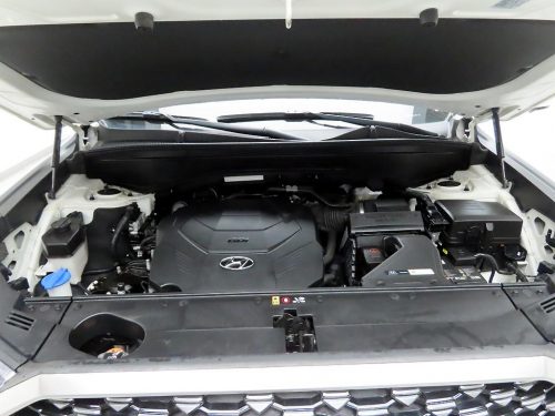 현대 팰리세이드 가솔린 3.8 2WD 사진 20