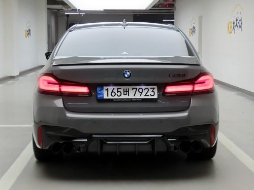 BMW 5시리즈 (G30) 530i M 스포츠 사진 3