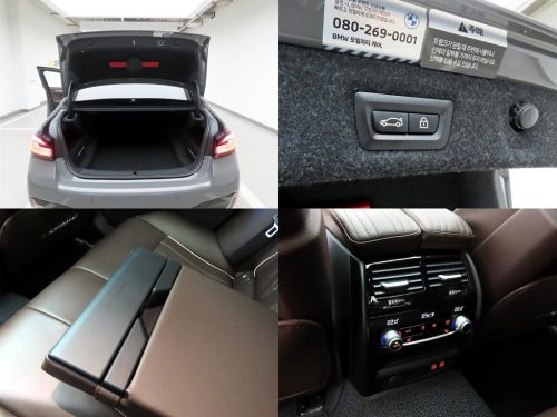 BMW 5시리즈 (G30) 530i M 스포츠 사진 18