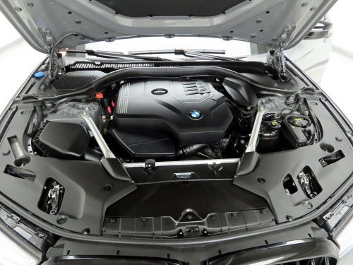 BMW 5시리즈 (G30) 530i M 스포츠 사진 20