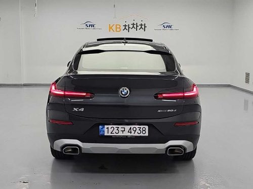 BMW X4 (G02) xDrive 20d xLine 사진 3