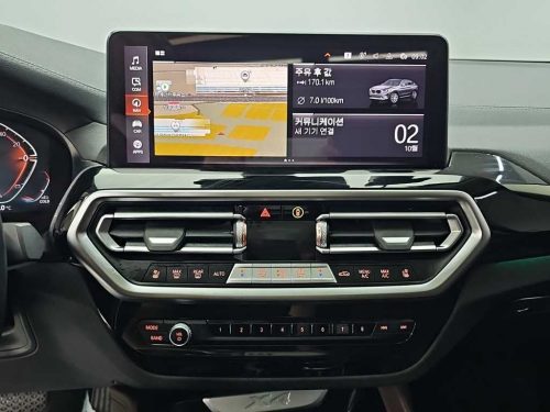 BMW X4 (G02) xDrive 20d xLine 사진 10