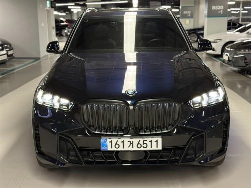 BMW X5 (G05) xDrive 50e M 스포츠 사진 2