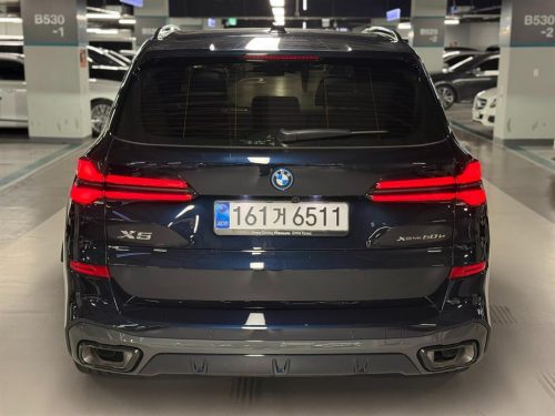 BMW X5 (G05) xDrive 50e M 스포츠 사진 4