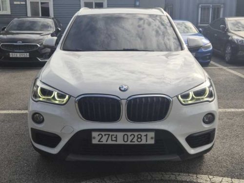 BMW X1 (F48) xDrive 18d 프리미엄