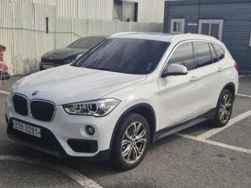 BMW X1 (F48) xDrive 18d 프리미엄 사진 2