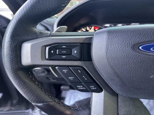 포드 F150 3.5L 사진 12