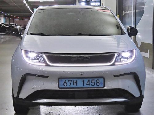 BYD 사진 2