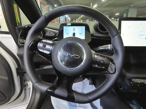 BYD 사진 8
