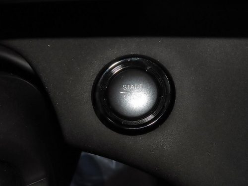 BYD 사진 14