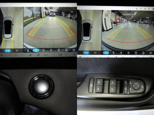 BYD 사진 18