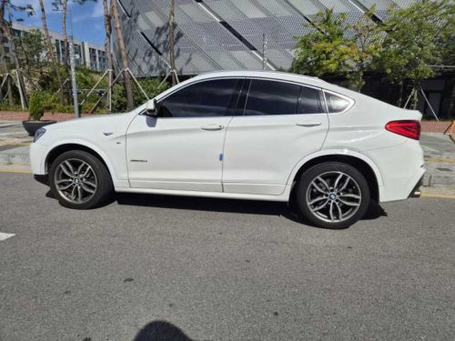 BMW X4 (F26) xDrive 20d SAC 에디션 사진 6