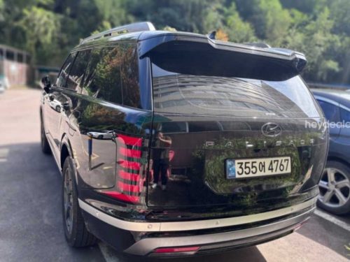 현대 디 올 뉴 팰리세이드 2.5T 2WD 9인승 사진 4