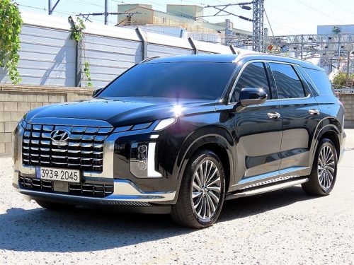 현대 더 뉴 팰리세이드 디젤 2.2 2WD 사진 2