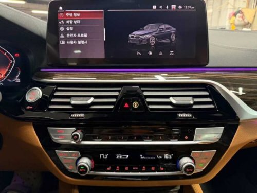 BMW 5시리즈 (G30) 520i M 스포츠 사진 10