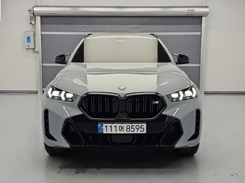 BMW X6 (G06) xDrive M60i 사진 2