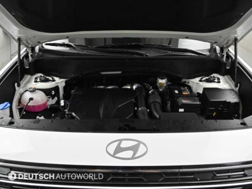 현대 디 올 뉴 팰리세이드 2.5T 4WD 9인승 사진 6