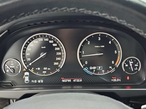 BMW X6 (F16) xDrive 30d 사진 6