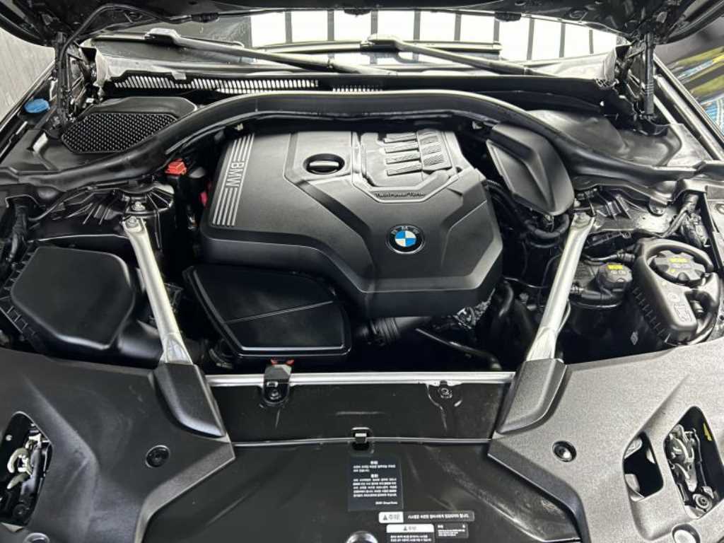BMW 5시리즈 (G30) 530i xDrive M 스포츠 사진 19