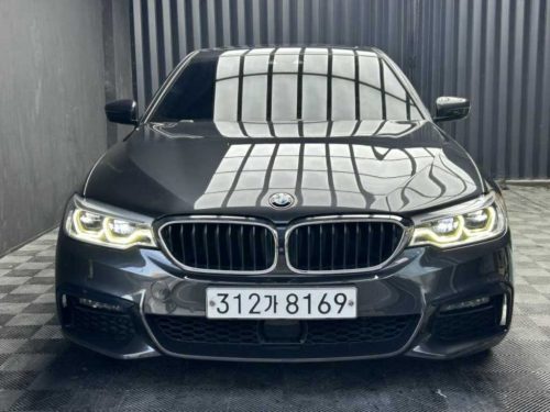 BMW 5시리즈 (G30) 530i xDrive M 스포츠