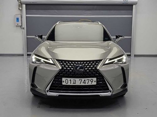 렉서스 UX 250h 2.0 2WD 사진 3