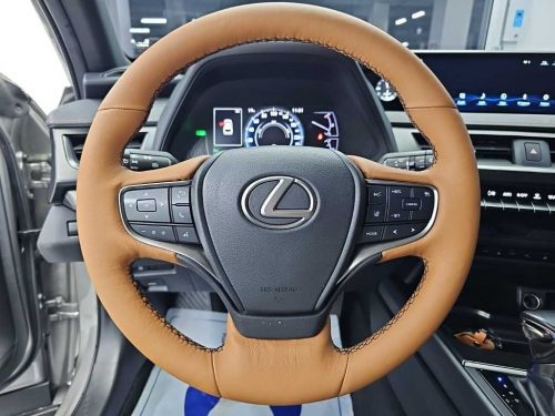 렉서스 UX 250h 2.0 2WD 사진 9