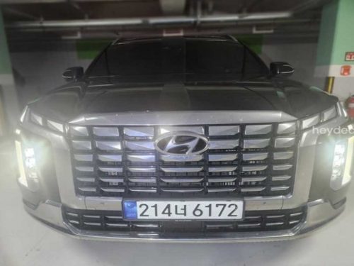 현대 더 뉴 팰리세이드 디젤 2.2 4WD