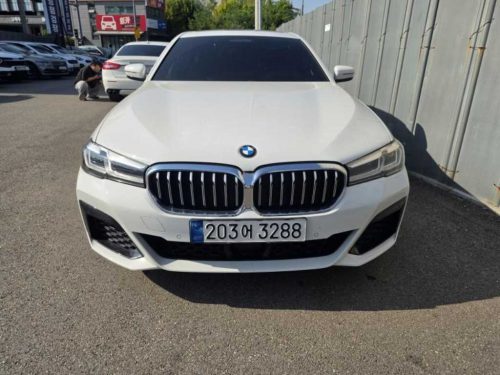 BMW 5시리즈 (G30) 520i M 스포츠