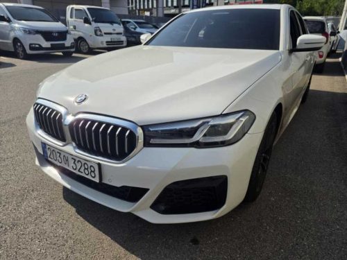 BMW 5시리즈 (G30) 520i M 스포츠 사진 2