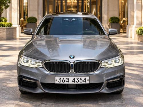 BMW 5시리즈 (G30) 530i M 스포츠 플러스