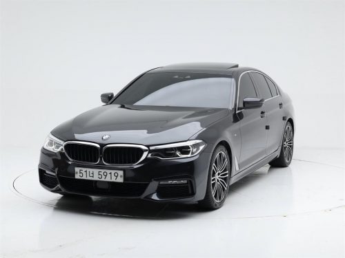BMW 5시리즈 (G30) 530i xDrive M 스포츠 플러스