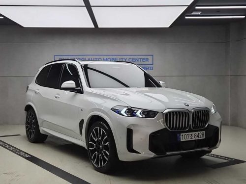 BMW X5 (G05) xDrive 30d xLine