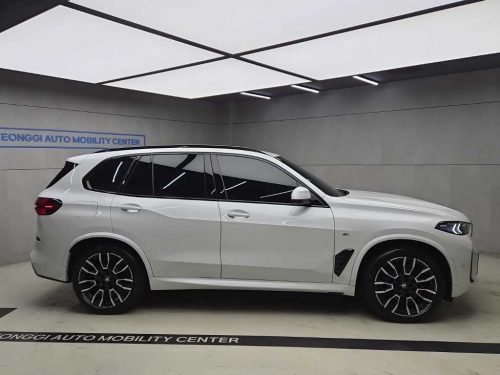 BMW X5 (G05) xDrive 30d xLine 사진 2