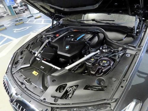 BMW 5시리즈 (G30) 530e M 스포츠 사진 19